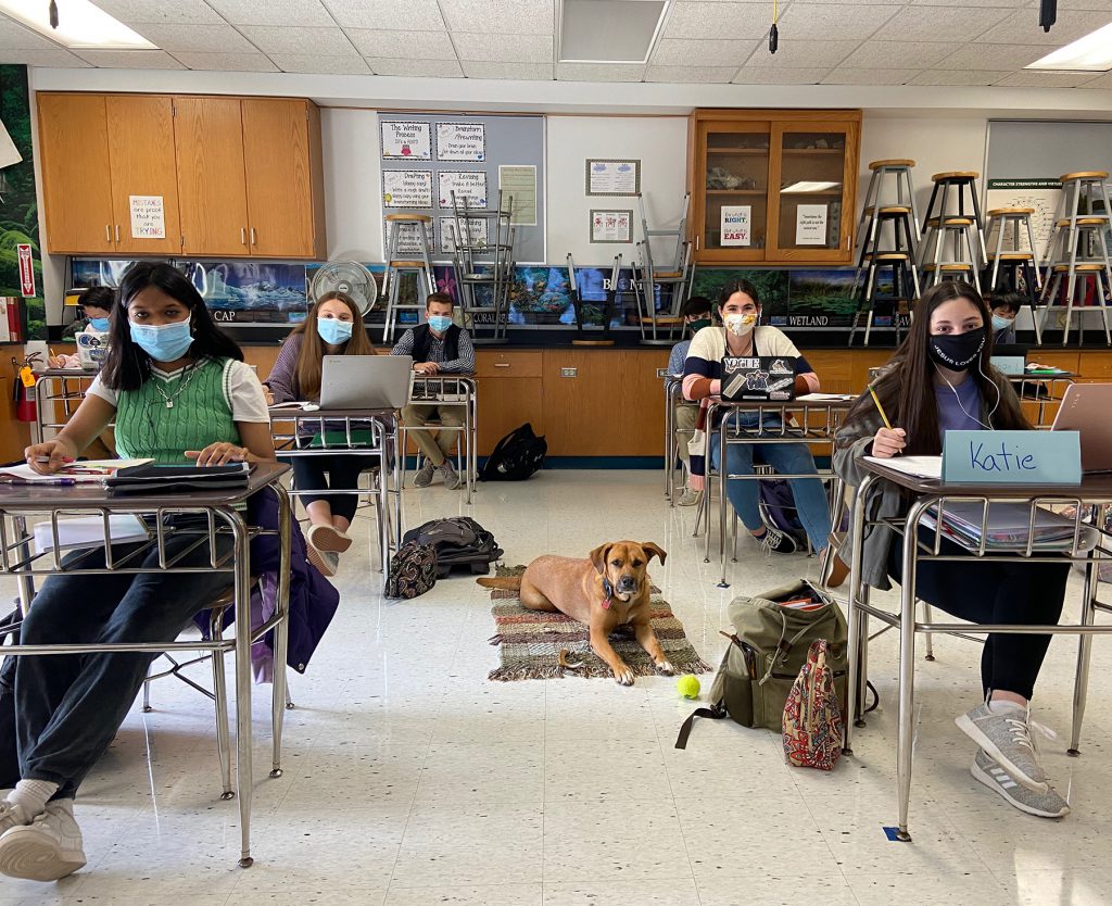Dog laying on classroom floor with students seated around him at their desks.