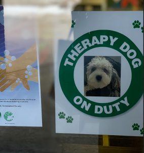 Flyer on school door announcing therapy dog on duty with a photo of the dog.