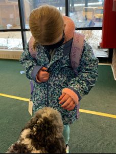 A student pets Bowie the therapy dog.