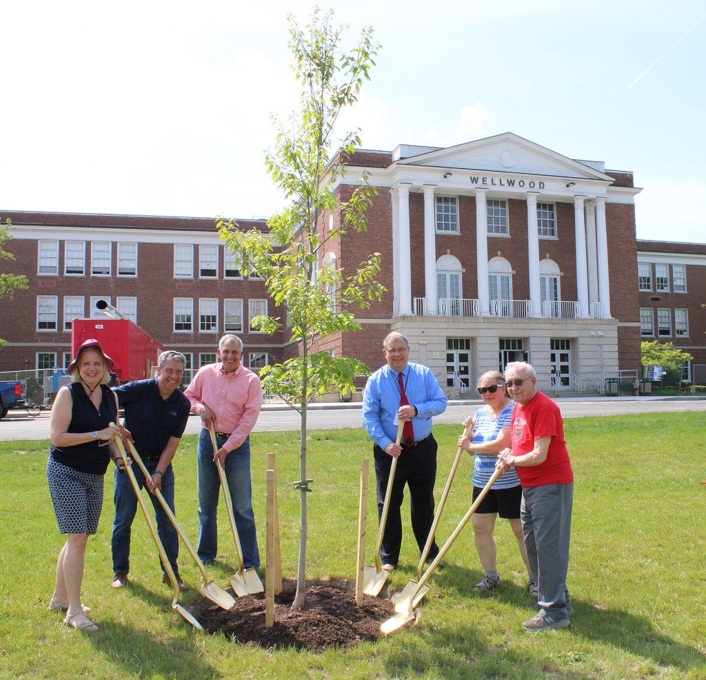 Six adults standing around a small tree with gold shovels. 