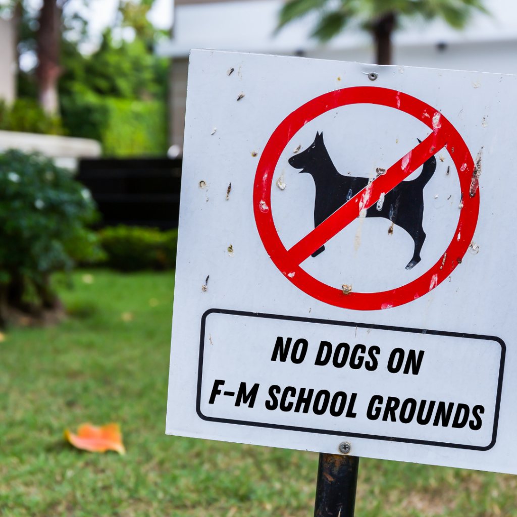 This is an image of a sign stating dogs are not allowed on school grounds