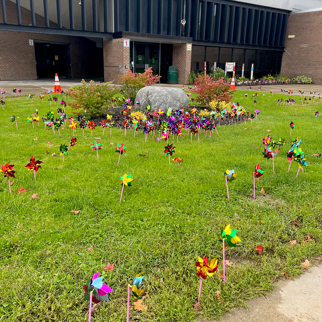 Dozens of pinwheels cover a grassy area in front of an elementary school