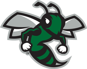A caricature of a hornet looking fierce.