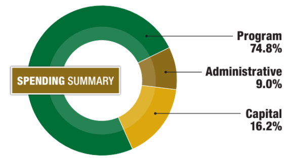 pie chart showing breakdown of spending